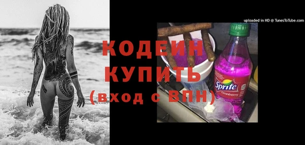 шишки Баксан