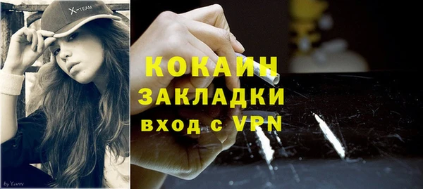 шишки Баксан