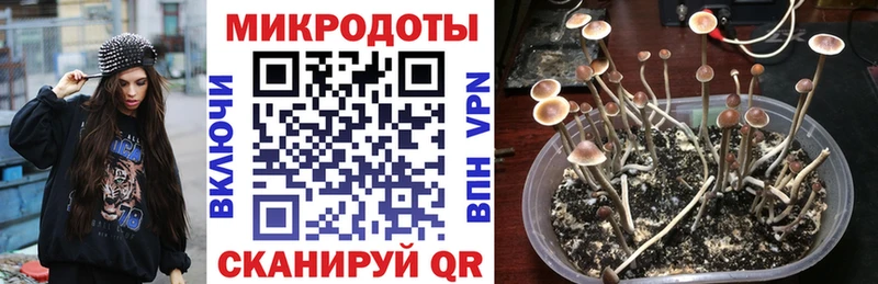 Галлюциногенные грибы GOLDEN TEACHER  продажа наркотиков  Киров 